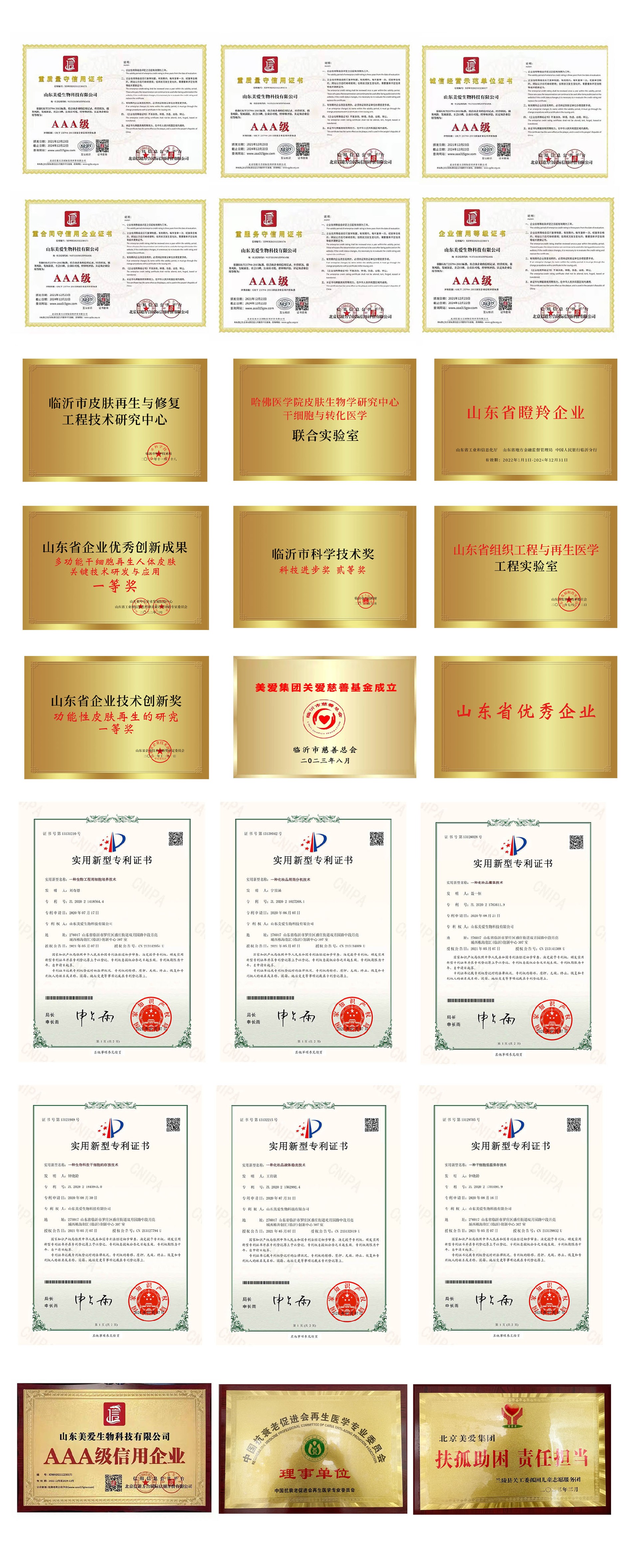 荣誉资质.jpg